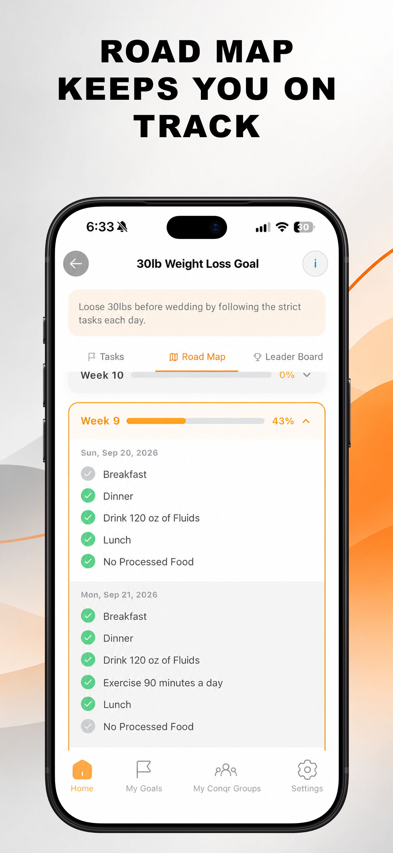 Road map screen